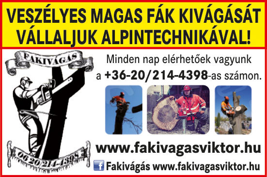 veszelyes_fak_kivagasa